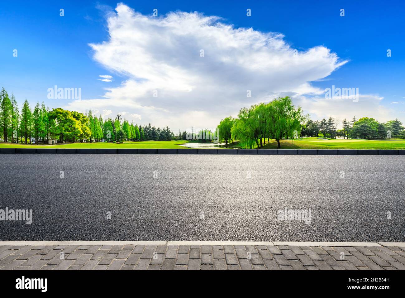 Empty asphalt road and green trees in spring season Stock Photo - Alamy