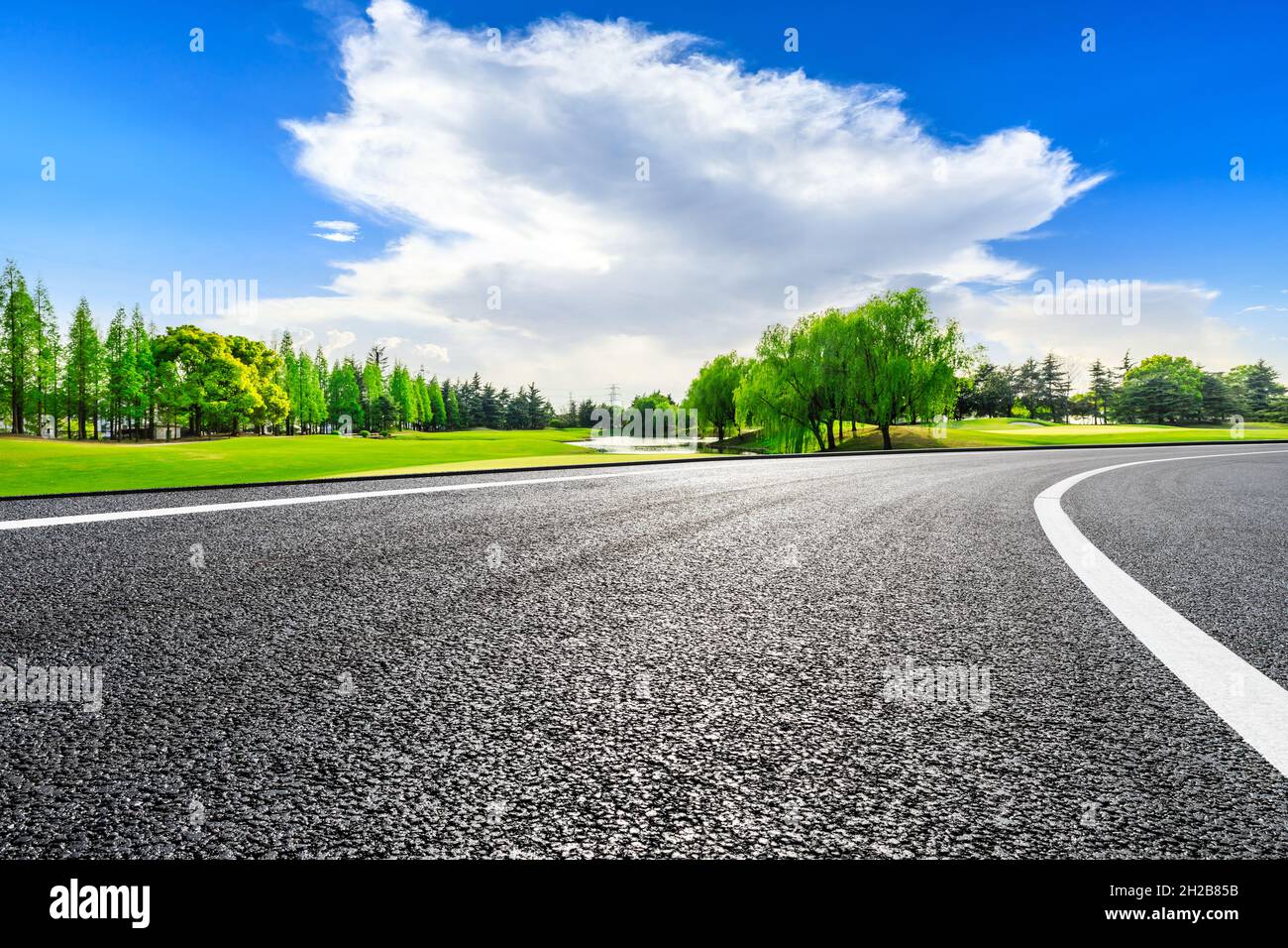 Empty asphalt road and green trees in spring season Stock Photo - Alamy