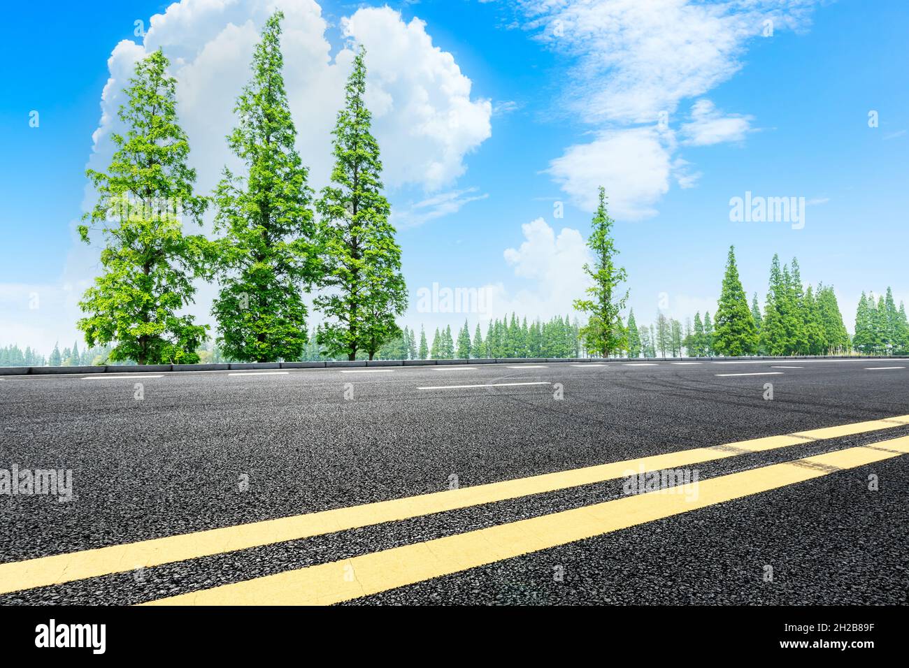 Asphalt road and green trees in spring season Stock Photo - Alamy