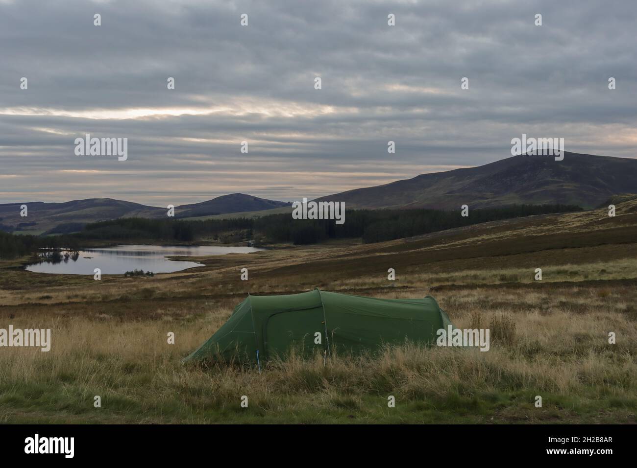 Wild camping in the moor landscape of Cairngorms National Park. At the Loch Auchintaple. Stock Photo