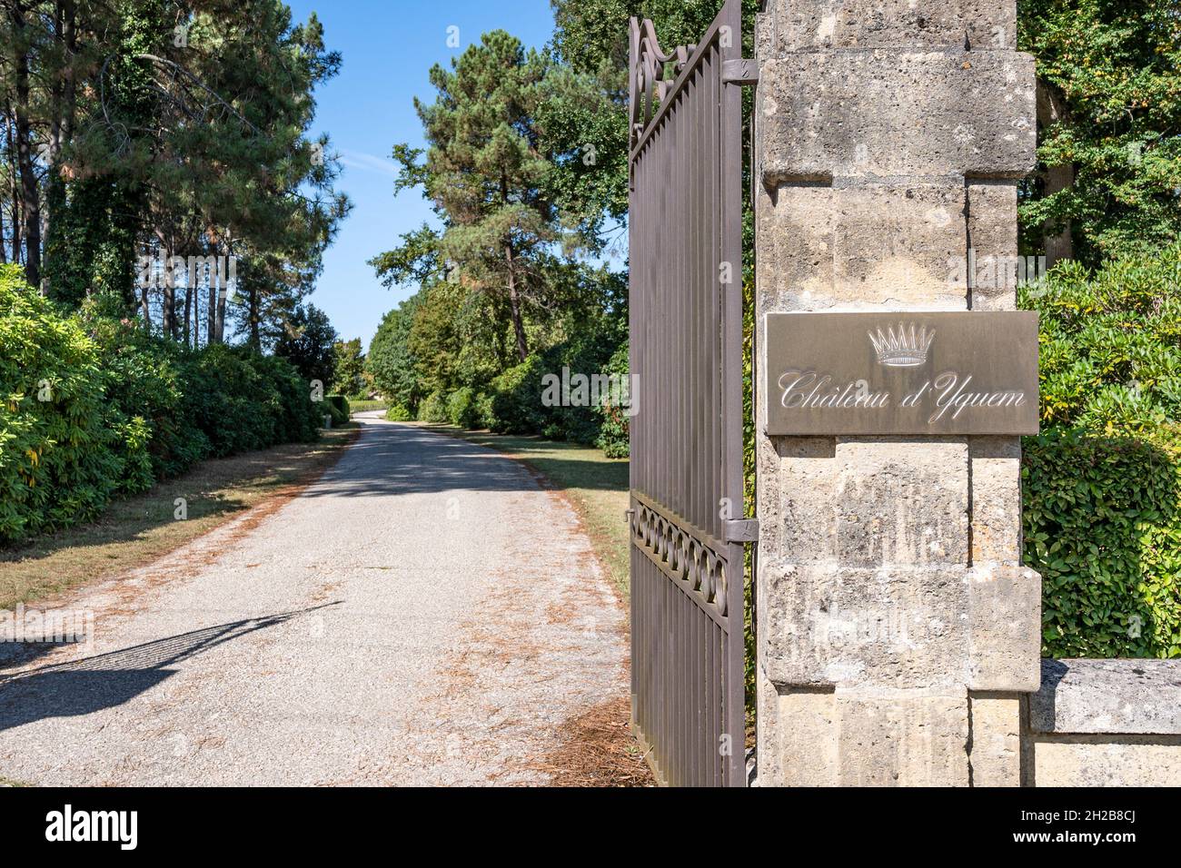 Château d'Yquem is one of the world's most expensive wine estates in