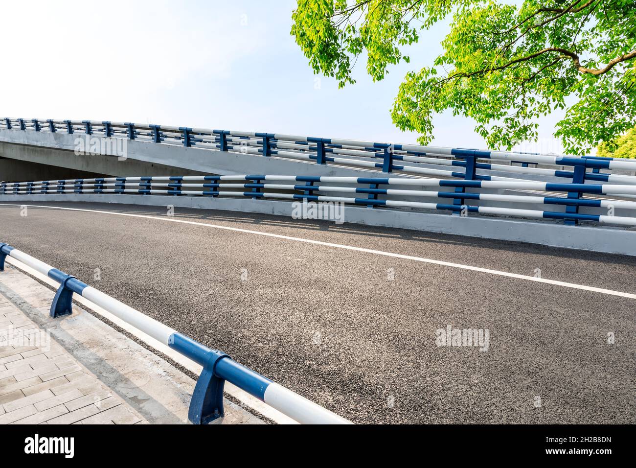 Empty asphalt road and green tree background Stock Photo - Alamy