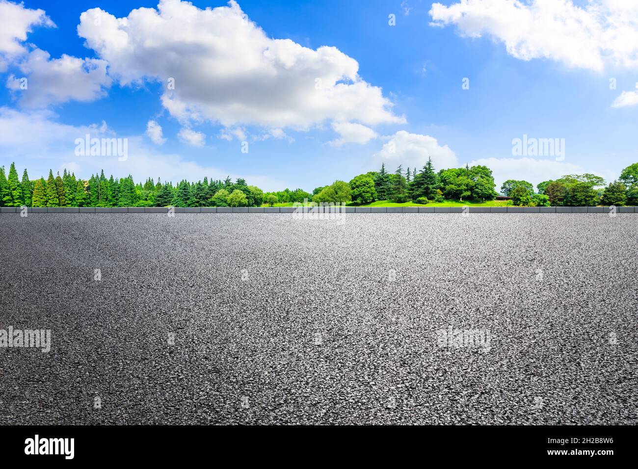 Asphalt road and green trees in spring season Stock Photo - Alamy