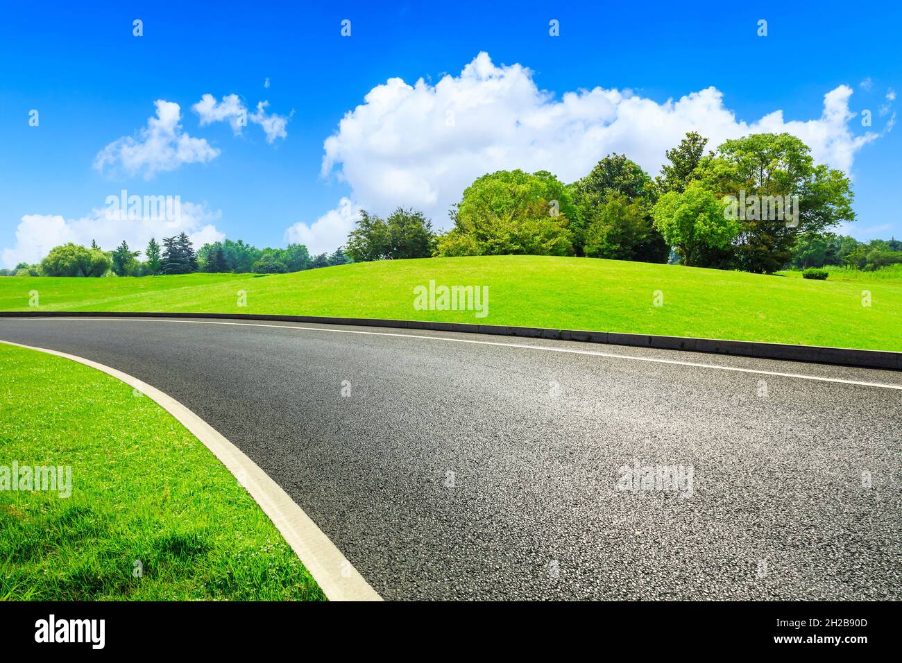 Asphalt road and green forest in spring season Stock Photo - Alamy