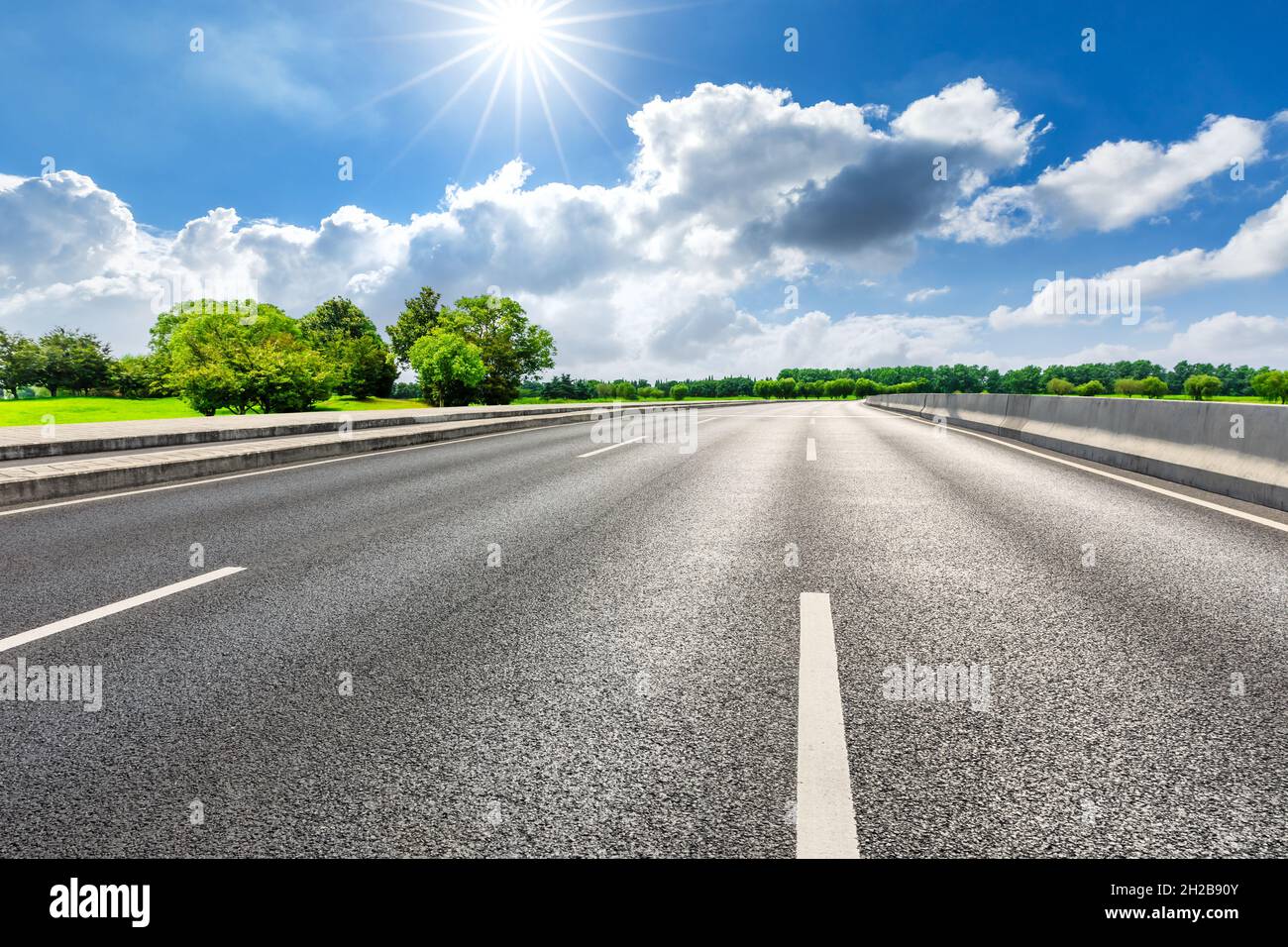 Asphalt road and green forest in spring season Stock Photo - Alamy