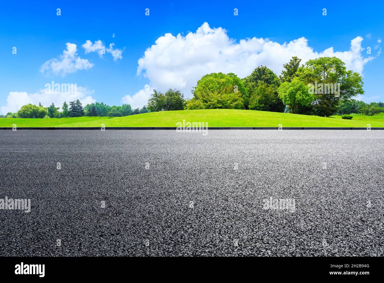 Asphalt road and green forest in spring season Stock Photo - Alamy