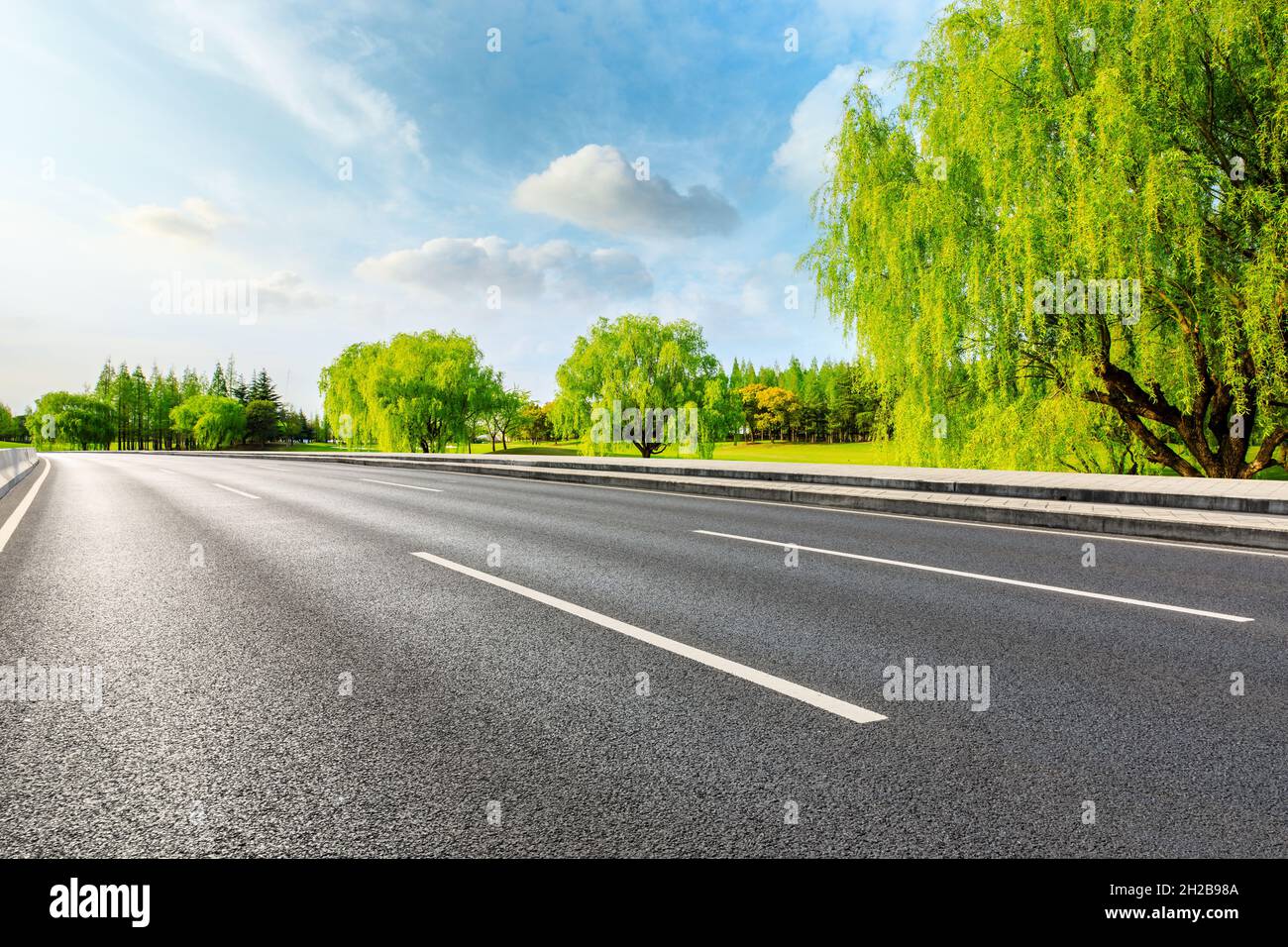 Asphalt road and green trees in spring season Stock Photo - Alamy