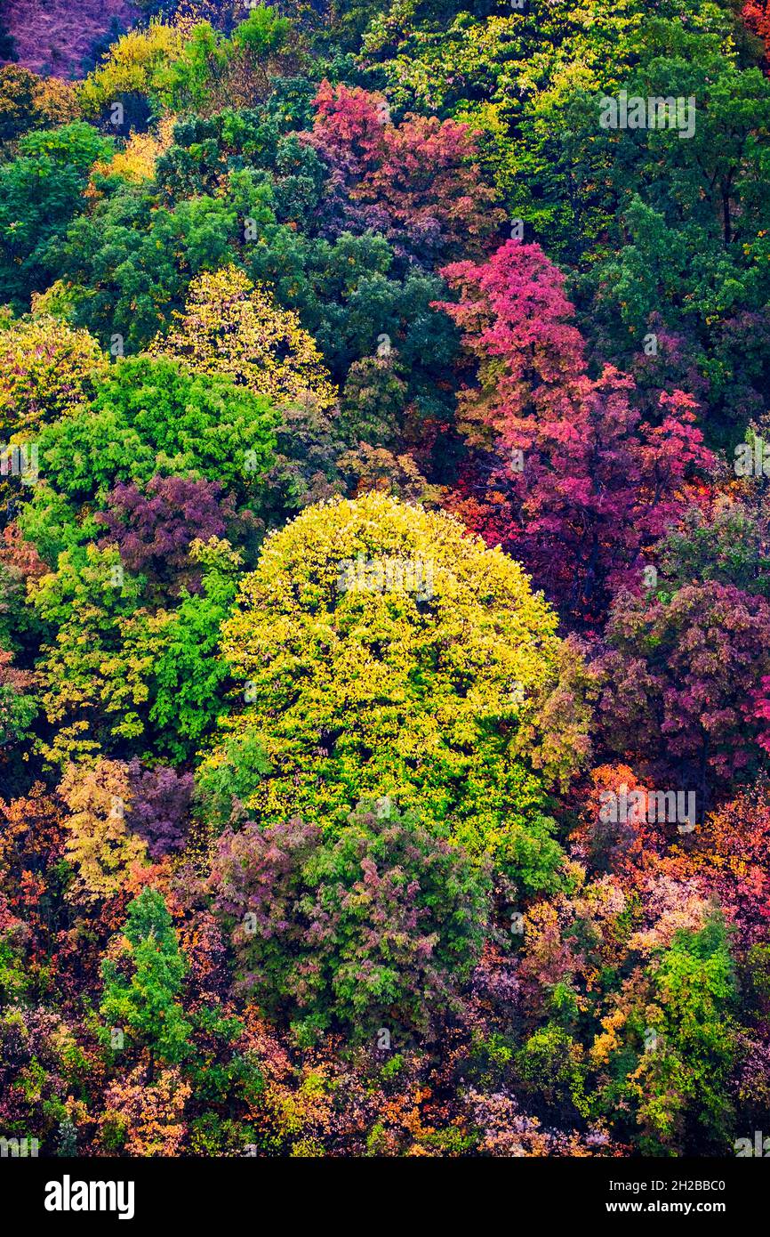 Outdoor day autumn tree trees hi-res stock photography and images - Alamy