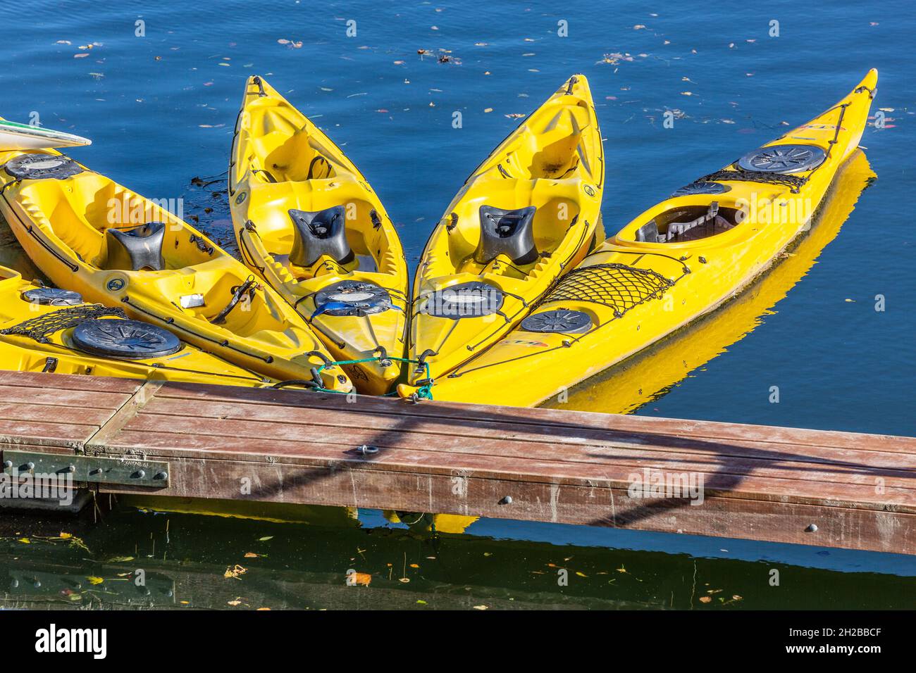 Group of five yellow kayaks moored in the marina of Saint-Valery in Bay of Somme, France Stock Photo