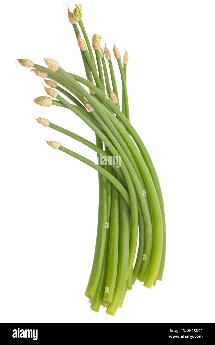 Thai chives Cut Out Stock Images & Pictures Alamy