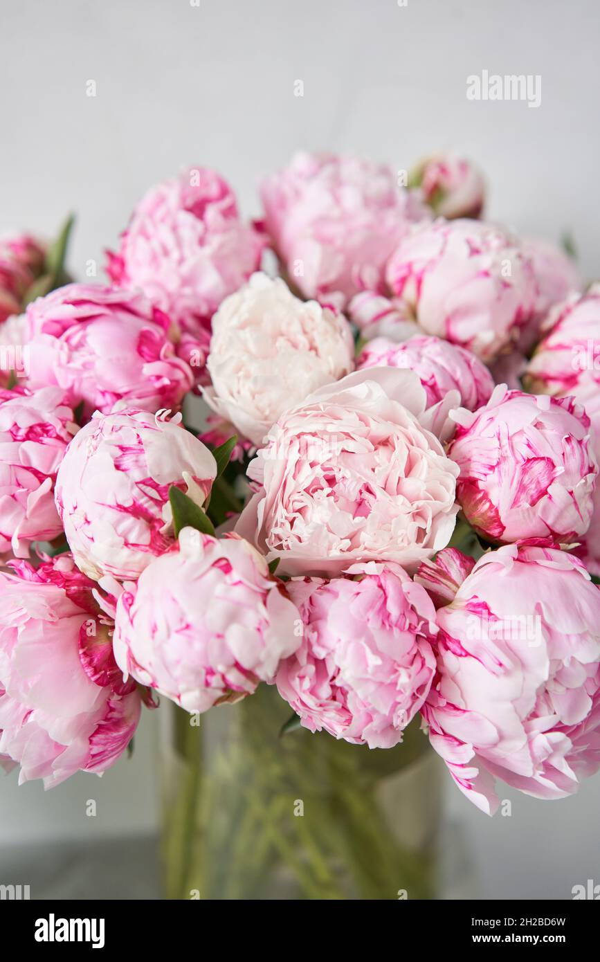 Lovely flowers in glass vase. Beautiful bouquet of pink peonies . Floral composition, scene, daylight. Wallpaper Stock Photo