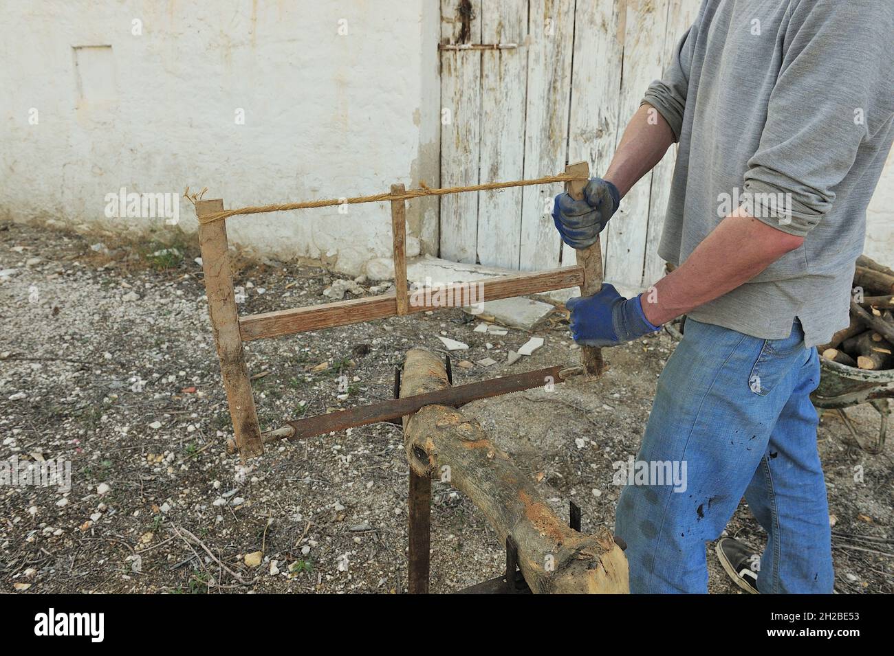 Lumberjack cutting firewood in rural village, with manual saw Stock