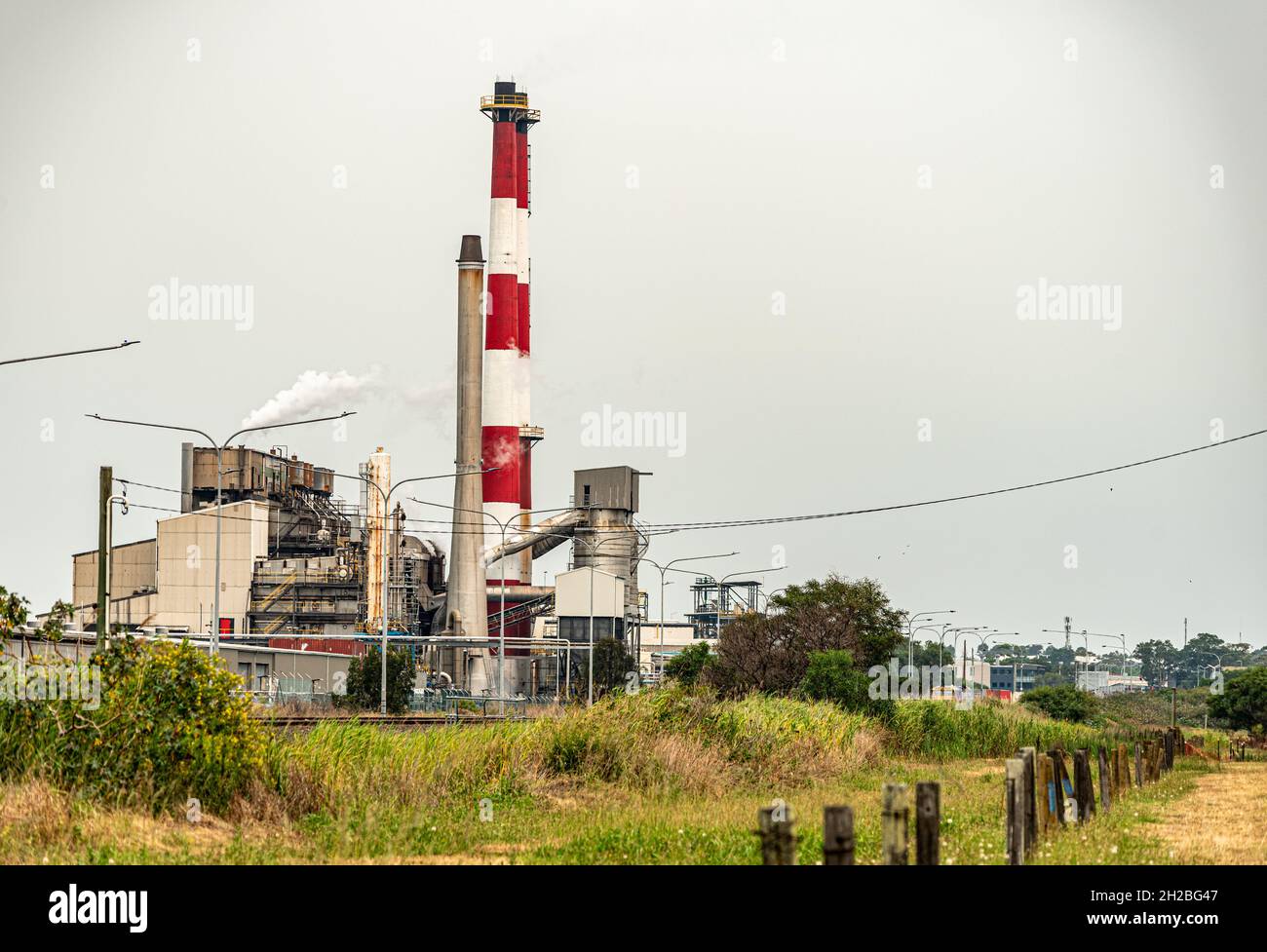 red and white smoke exhaust stacks from the Chemical plant Stock Photo