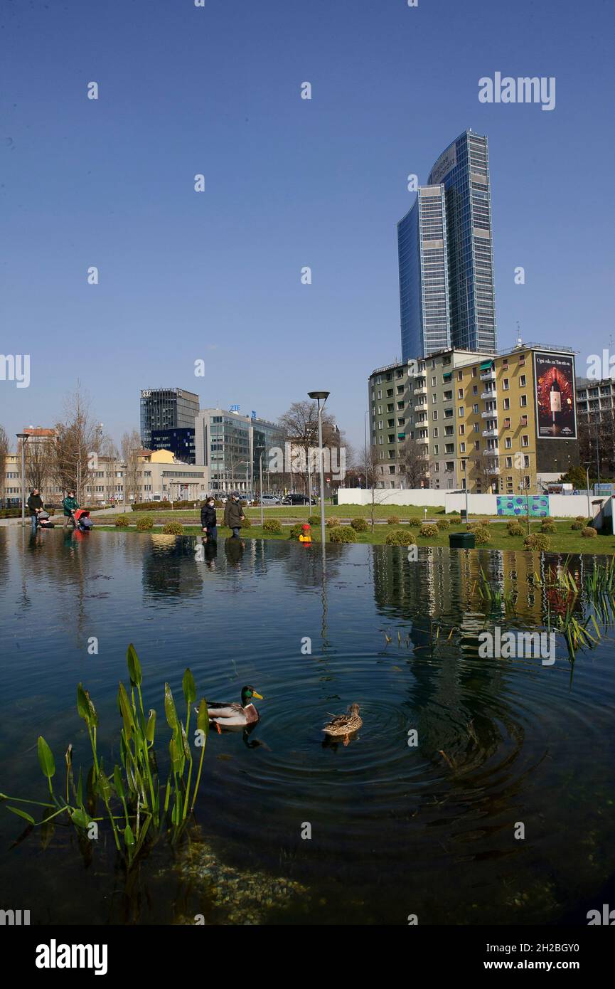 Milan, Italy In the pond of the Biblioteca degli Alberi Park, piazza Gae Aulenti, a pair of German ducks (Anas platyrhynchos). Stock Photo