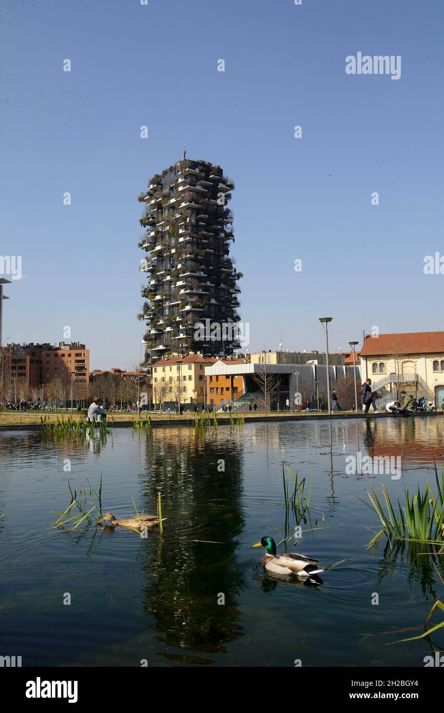 Milan, Italy In the pond of the Biblioteca degli Alberi Park, piazza Gae Aulenti, a pair of German ducks (Anas platyrhynchos). Stock Photo