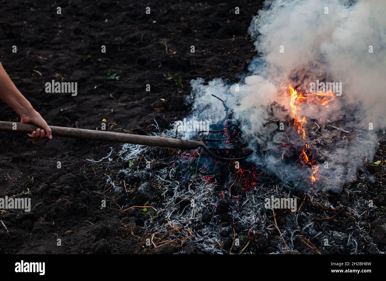 burning branches and tops that a man with a pitchfork moves. High quality photo Stock Photo