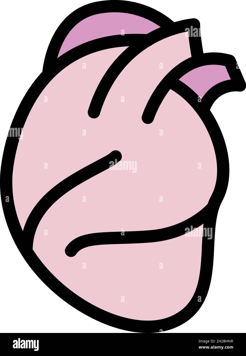 Healthy human heart icon. Outline healthy human heart vector icon color ...