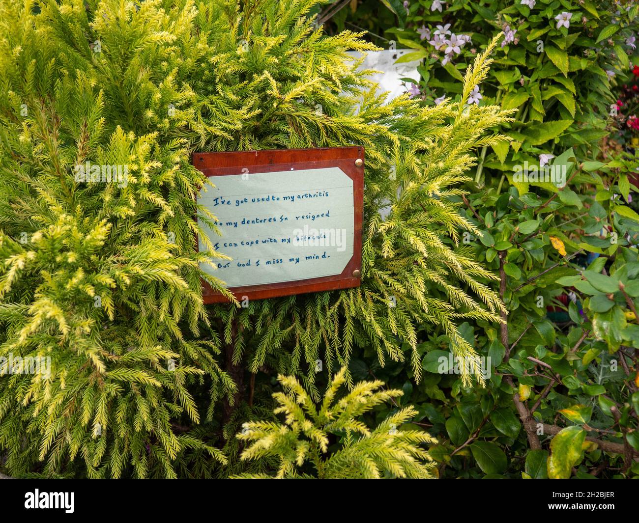 Humorous hand-written sign about the perils of growing old, in a garden in the village of Eyam, Derbyshire, UK Stock Photo