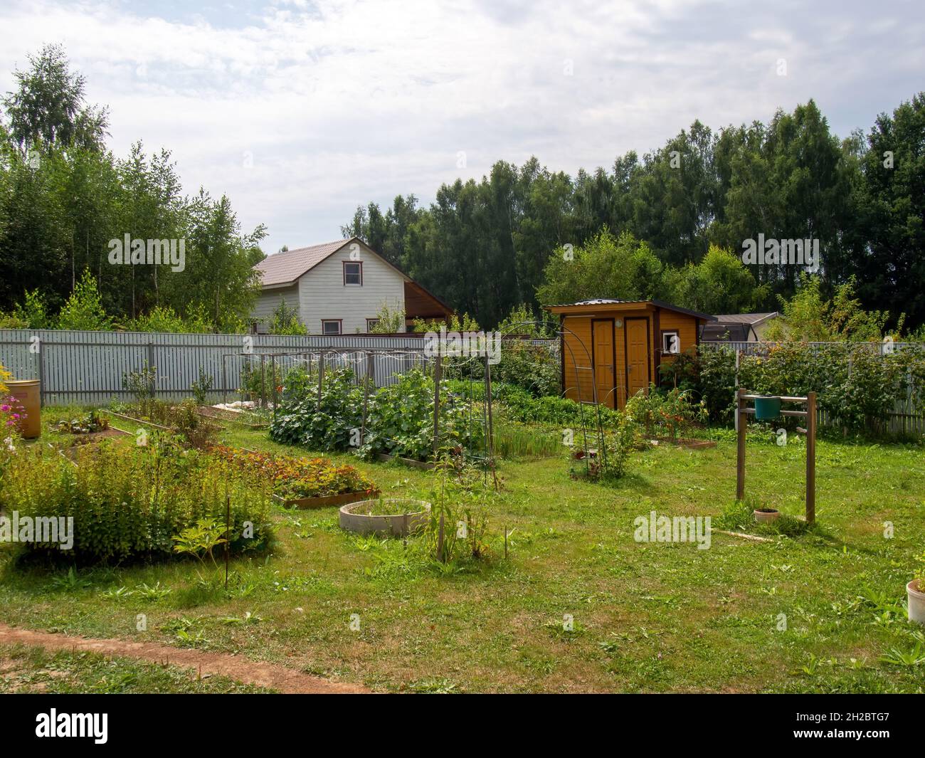small garden on a rural plot, in summer Stock Photo - Alamy