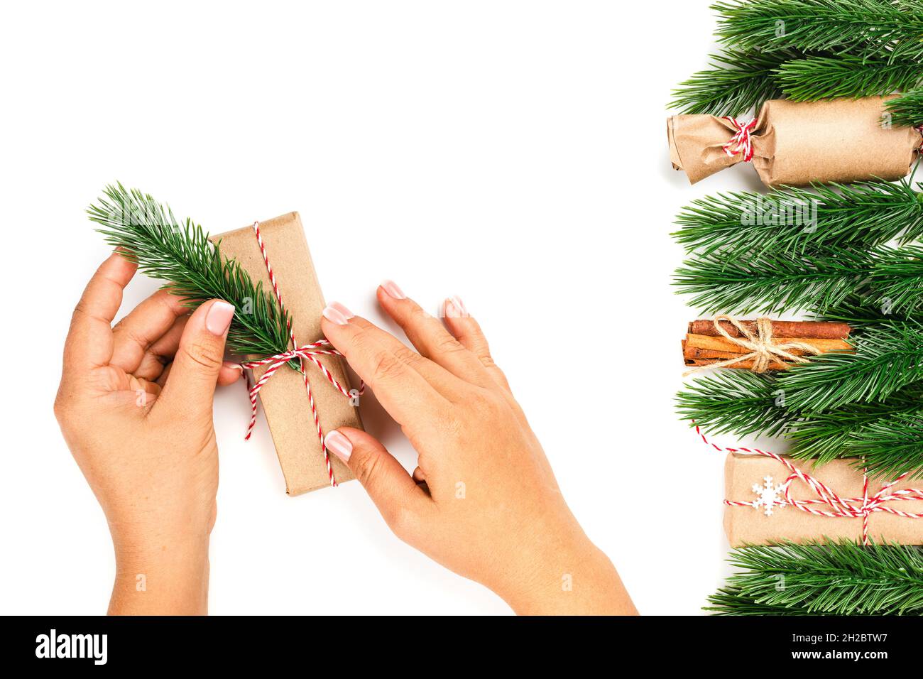 the process of decorating Christmas gift boxes, woman hands add sprig of Christmas tree for decoration Stock Photo