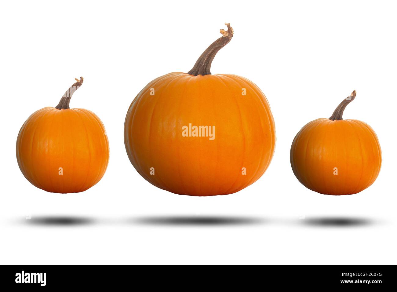 Big orange halloween pumpkins isolated on a white background, floating with a shadow. Stock Photo