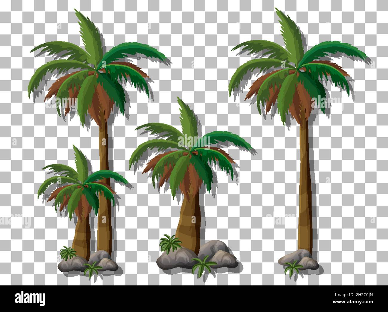 Palm trees on transparent background illustration Stock Vector Image ...