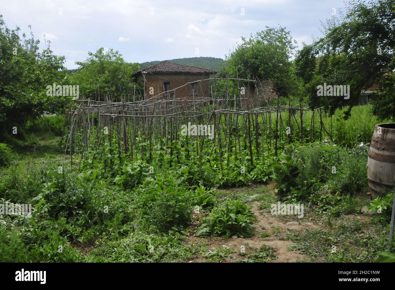 colorful natural garden without fertilizer with natural beds Stock
