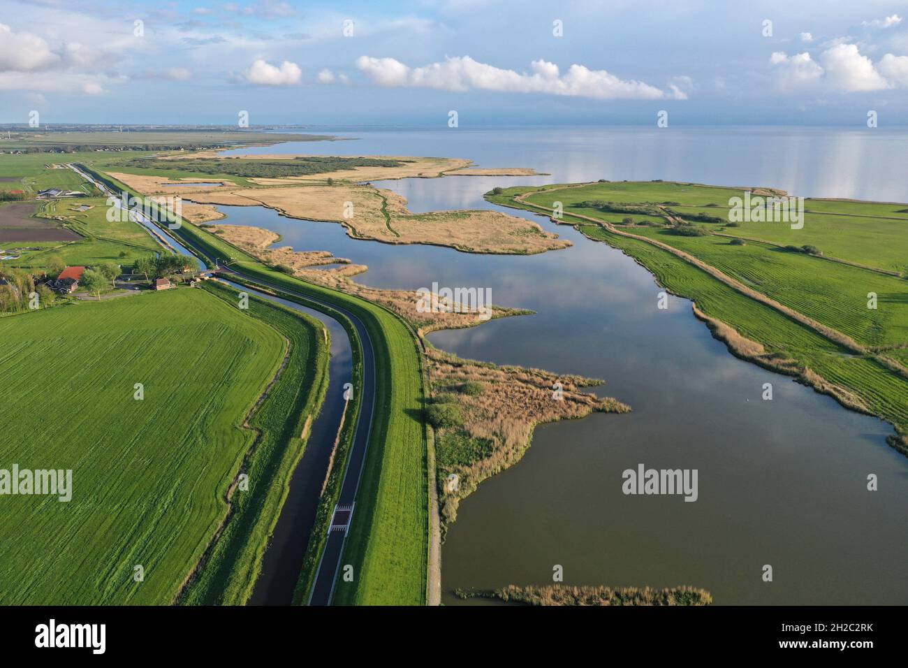 IJsselmeer shore with reed zones, Netherlands, Frisia, Makkum Stock Photo