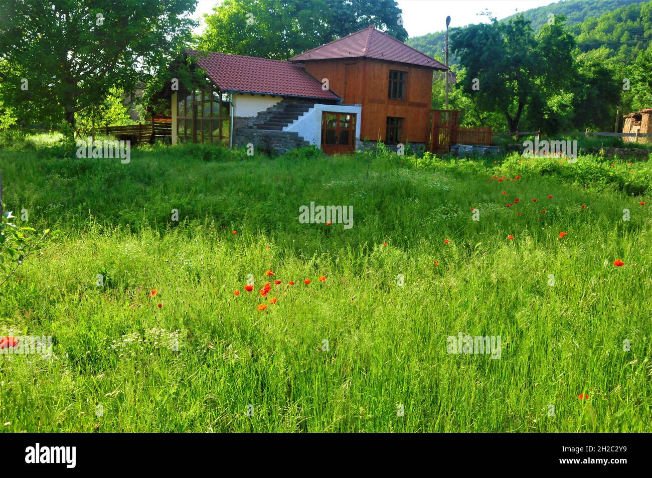 colorful natural garden without fertilizer with natural beds Stock