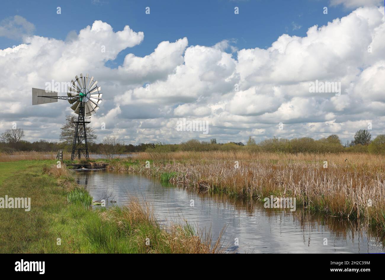 scoop wheel at Eernesloot, Netherlands, Frisia, De Alde Feanen National Park, Earnewald Stock Photo
