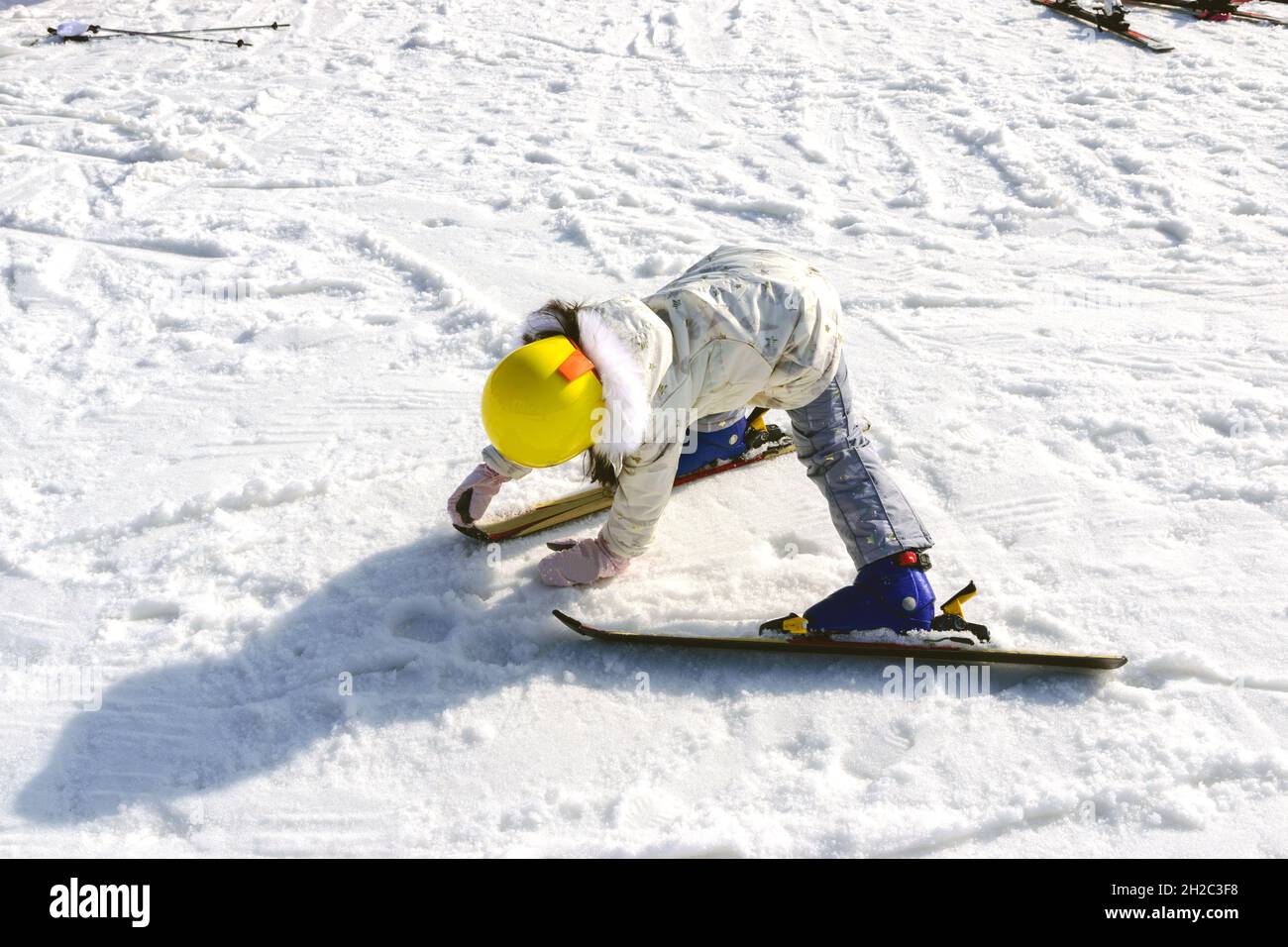 Gangwon-do,Korea-January 4,2016: Daemyung Vivaldi Park ski resorts, attractions, famous and popular in Korea. Stock Photo