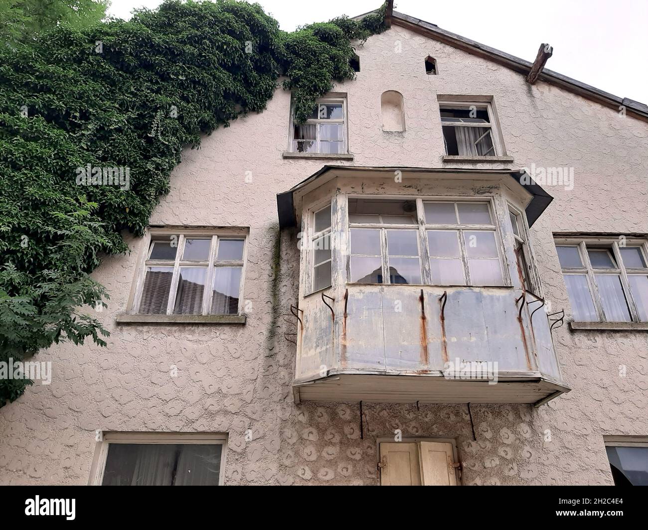 English ivy, common ivy (Hedera helix), climbing on a facade of an old house, Germany, Bavaria Stock Photo