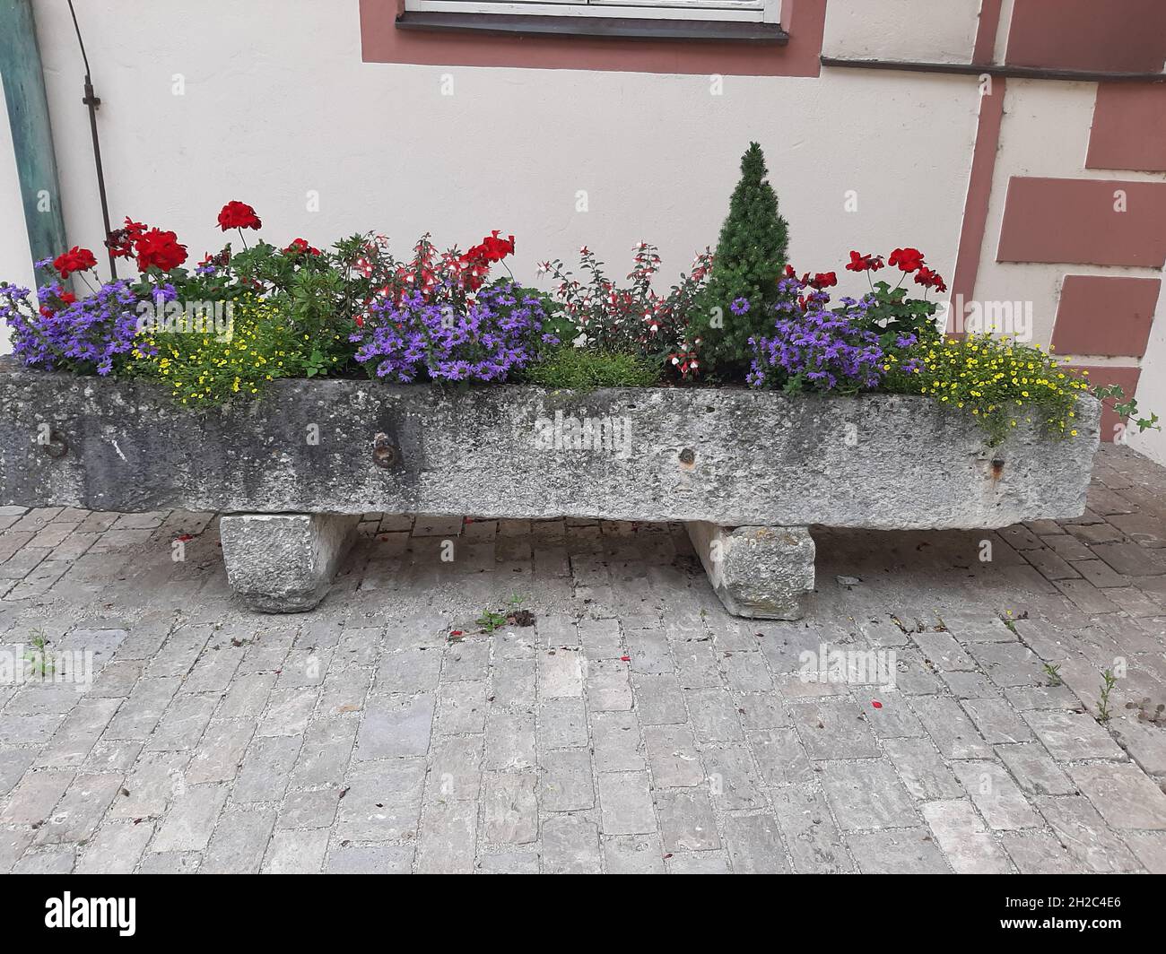 concrete flowerbox on a pavement, Germany Stock Photo