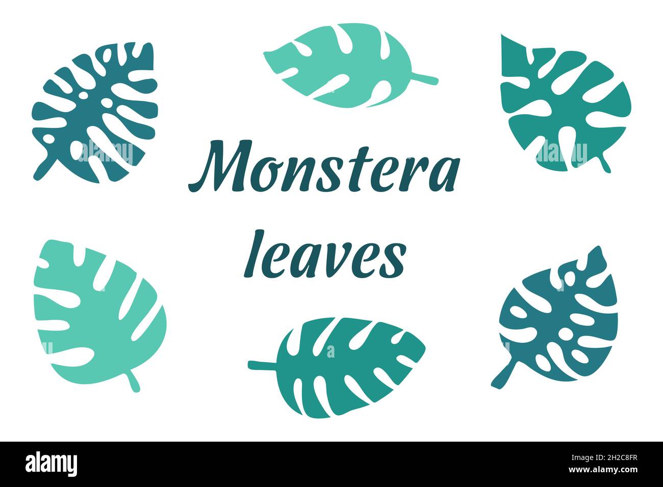 Monstera tropical leaves set, green turquoise color vector illustration Stock Vector