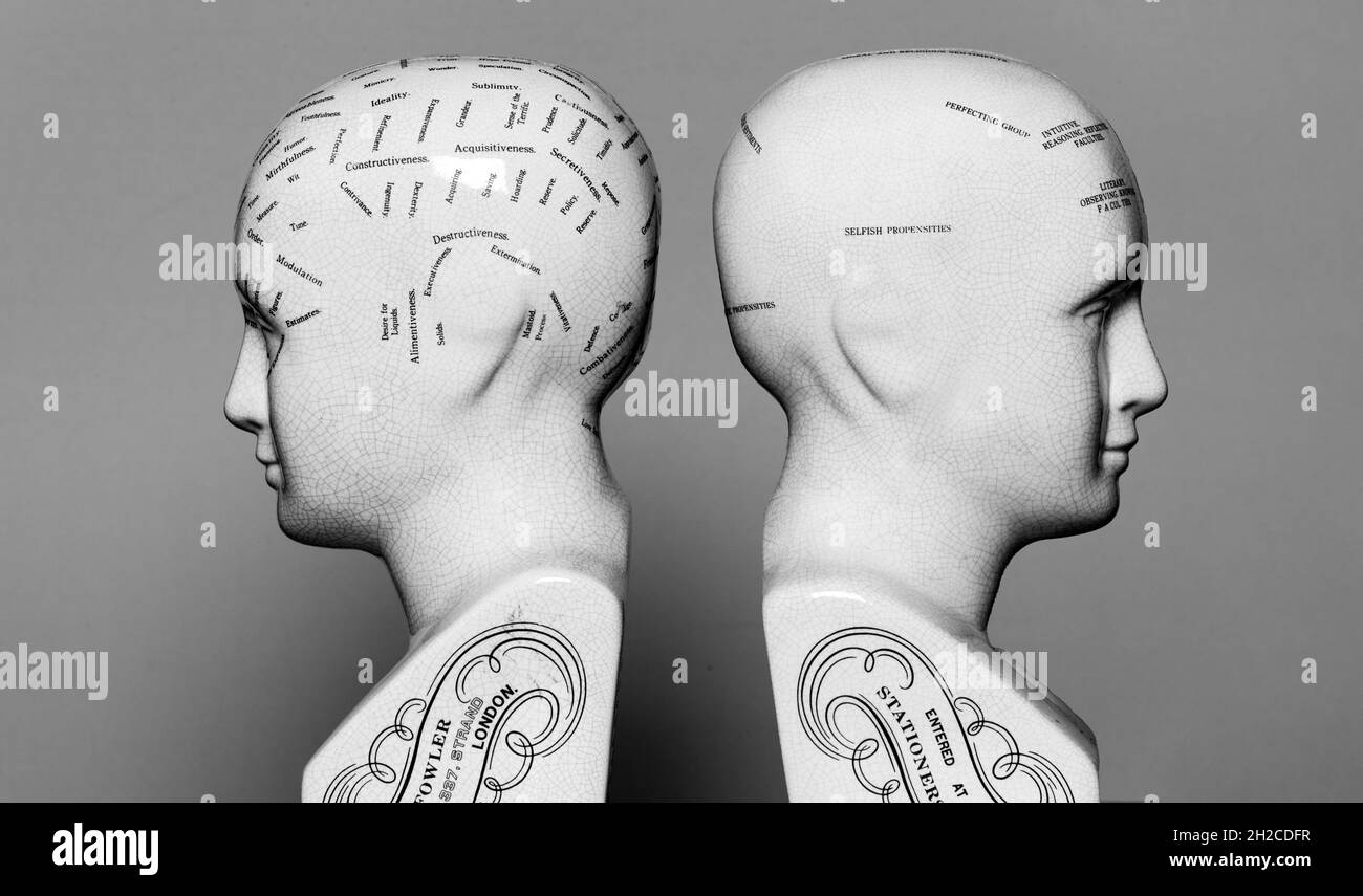 two phrenology heads, mental health concept. Stock Photo