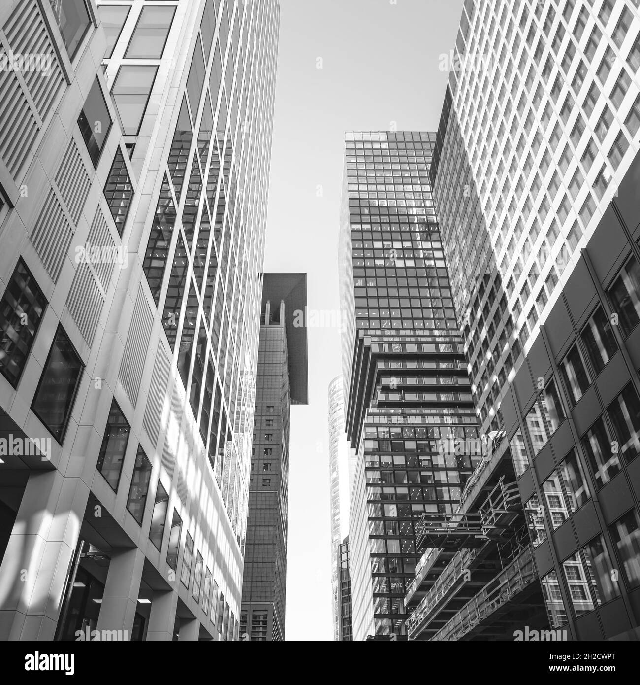 View frankfurt germany Black and White Stock Photos & Images - Alamy