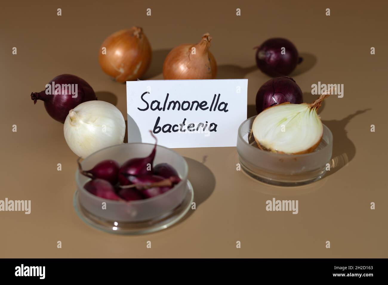 Salmonella safety onions hires stock photography and images Alamy
