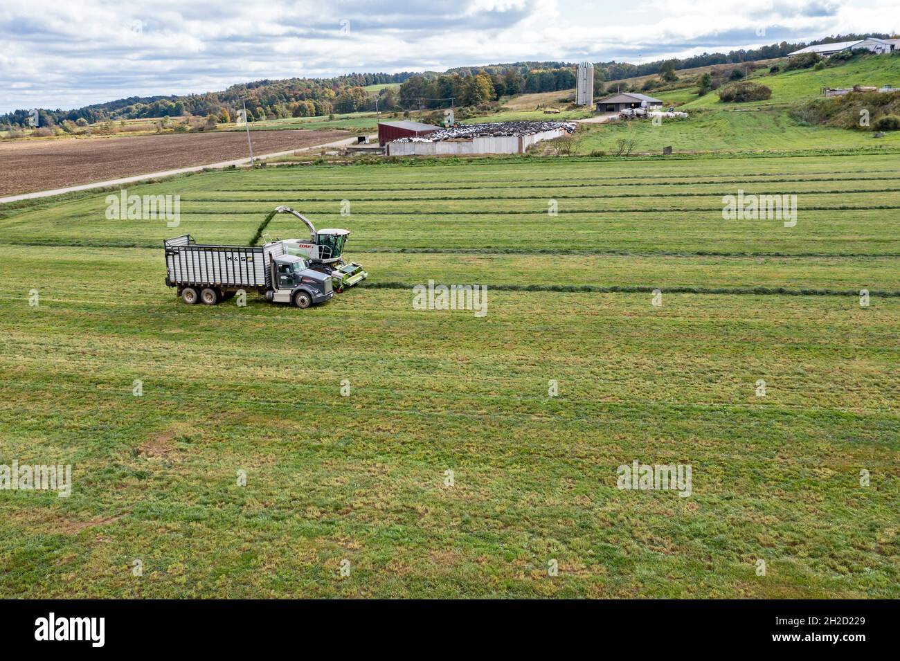 Clymer, New York Alfalfa harvest on a farm in western New York Stock