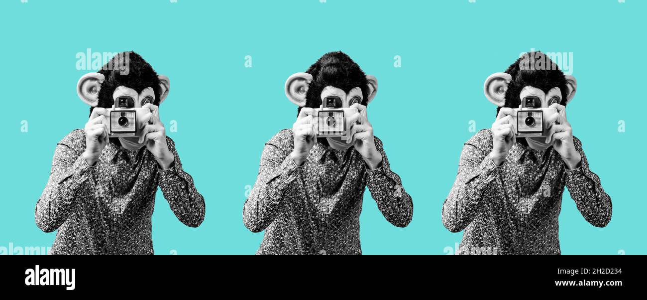 three men wearing monkey masks taking a picture with retro instant cameras in black and white on a blue background, in a panoramic format to use as we Stock Photo