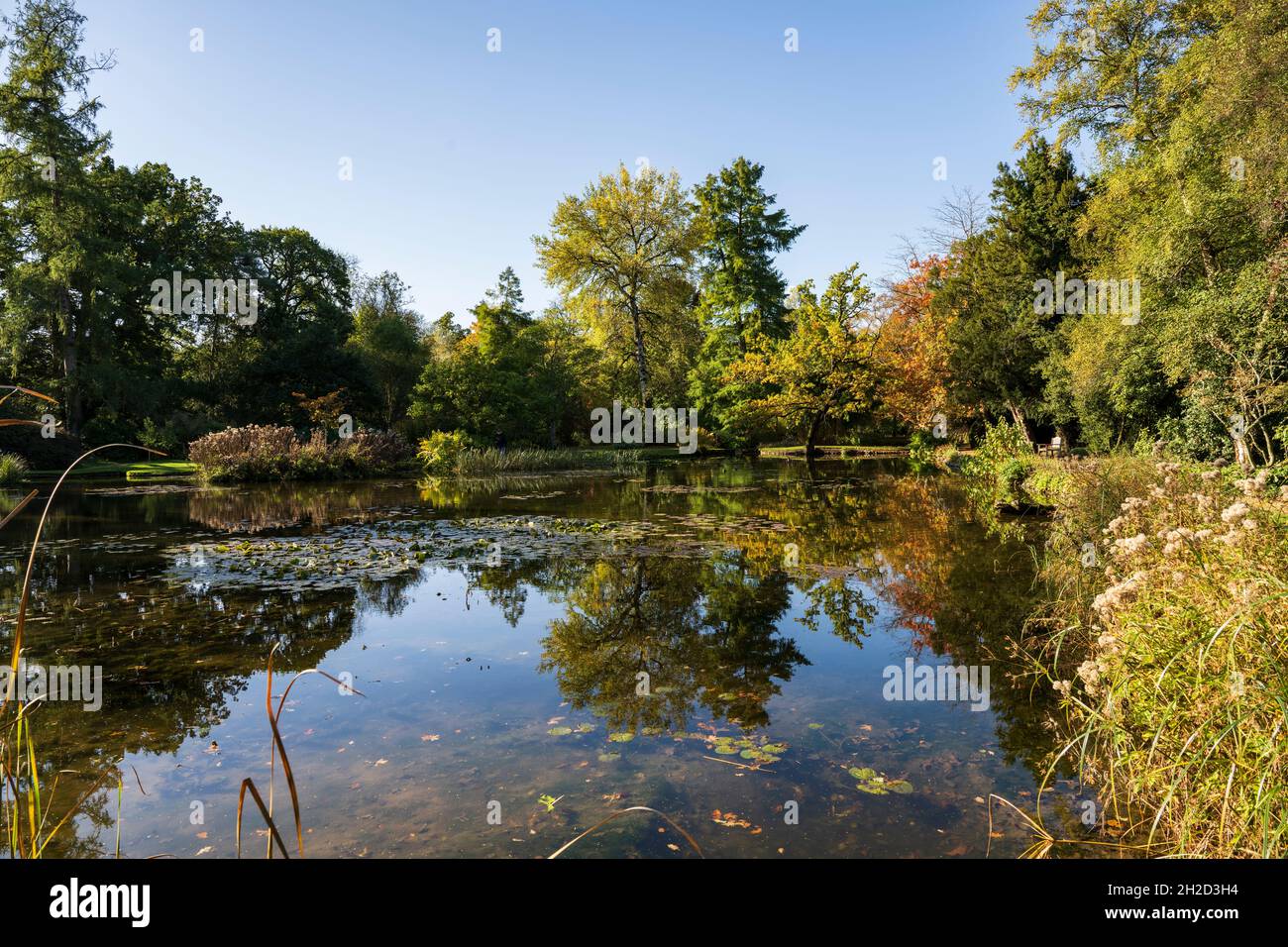 Longstock Park Water Garden, John Lewis Leckford Estate, Stockbridge