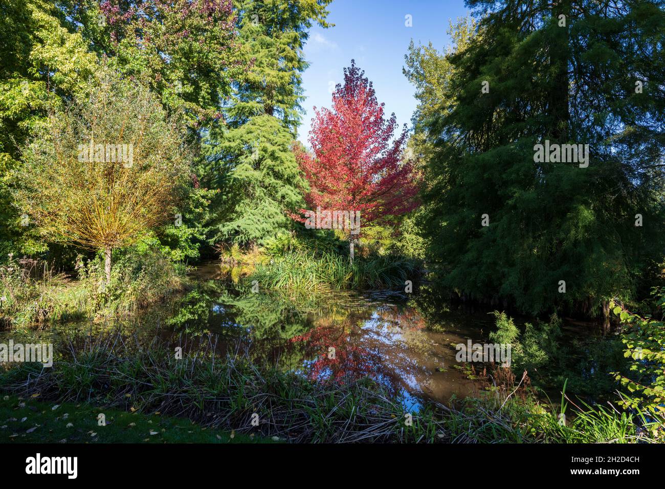 Longstock Park Water Garden, John Lewis Leckford Estate, Stockbridge