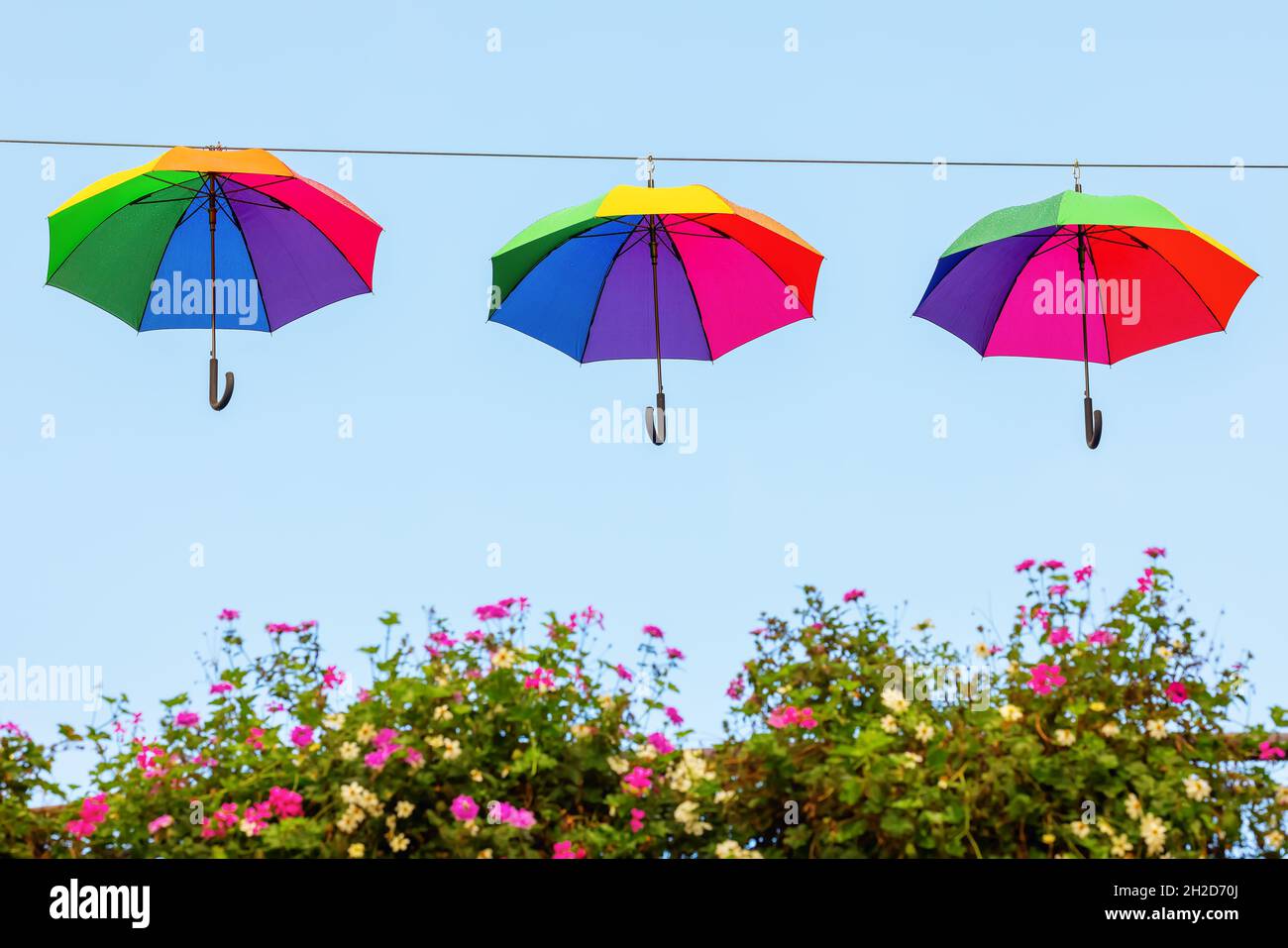 rainbow colored umbrellas on a line Stock Photo