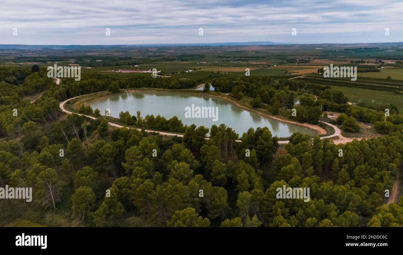 Aerial view of a lake surrounded by pine trees Stock Photo