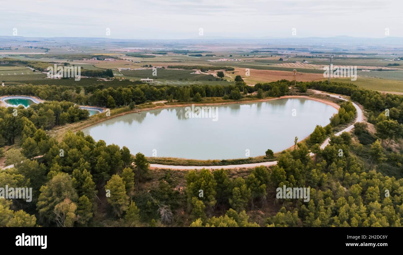 Pine trees birds eye view hi-res stock photography and images - Alamy