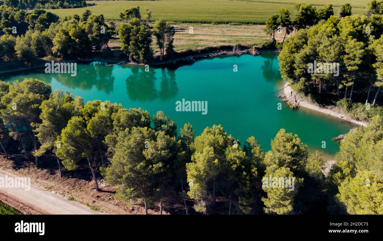 Pine trees birds eye view hi-res stock photography and images - Alamy