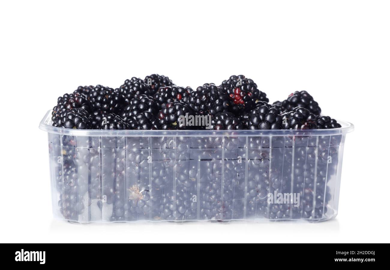 Plastic container with blackberries on white background Stock Photo - Alamy