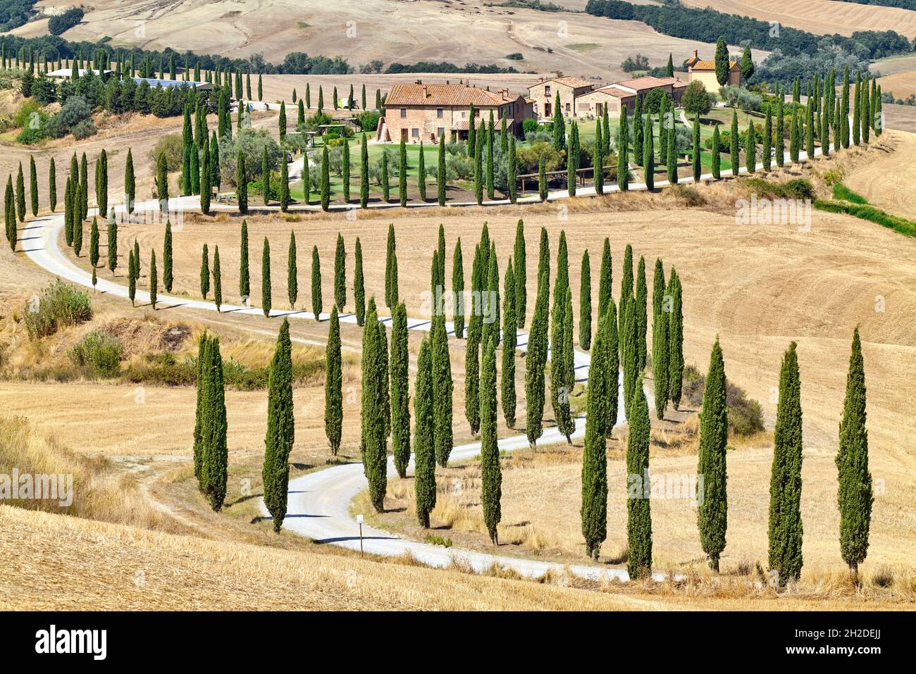 Typical landscape of Val d'Orcia Tuscany Italy with S-shape cypresses Stock Photo