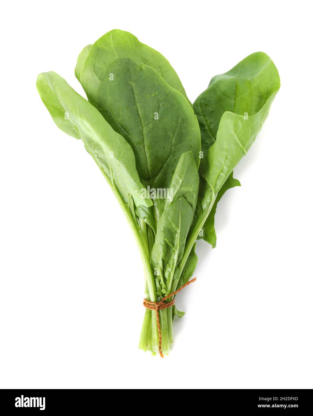 Bunch of spinach on white background, top view. Fresh herb Stock Photo ...