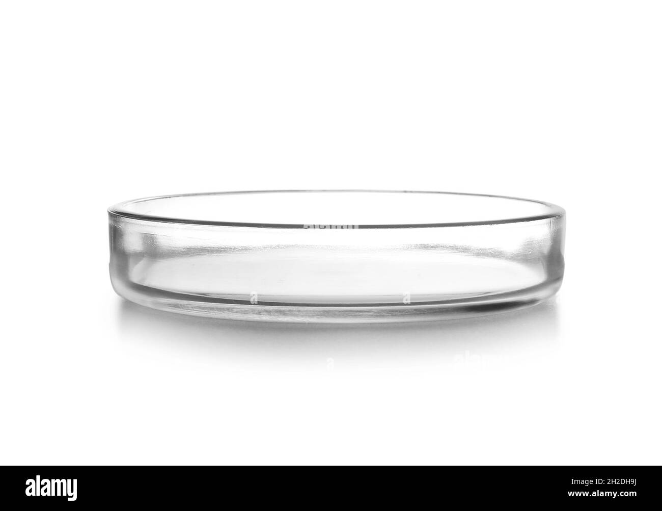 Empty Petri dish isolated on white. Chemistry laboratory glassware Stock Photo Alamy