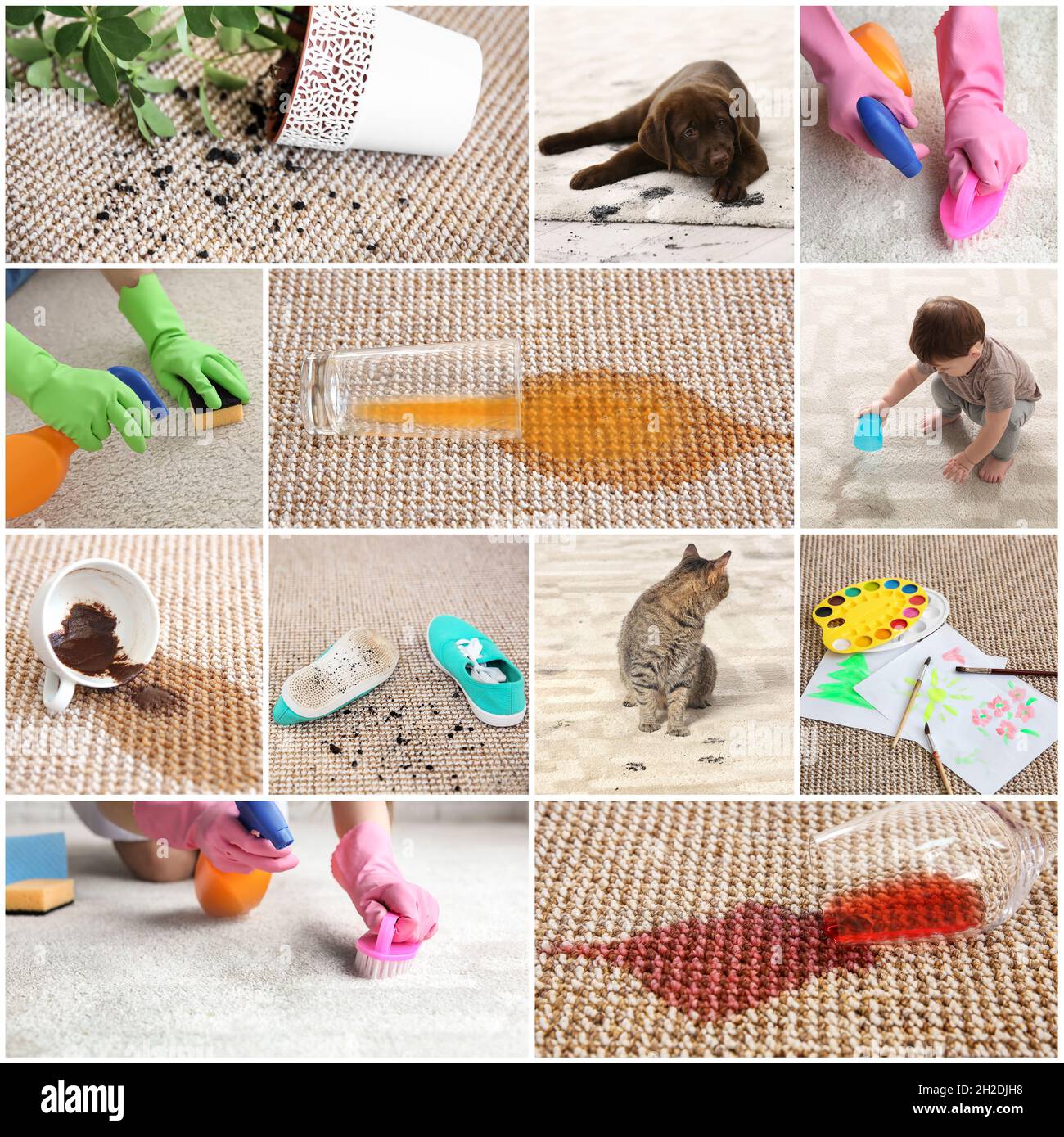 Set with different types of dirt on carpets. Cleaning concept Stock